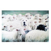 Good Shepherd Dog with Sheep Glossy Canvas Wall Art Print - 36" x 24"